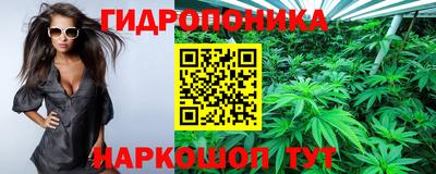 гидропоника Новодвинск