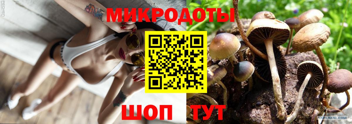 Псилоцибиновые грибы Psilocybine cubensis  Вход с VPN  Рузаевка 